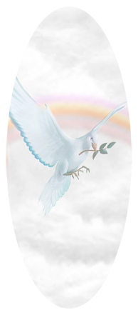 Dove Clouds White
